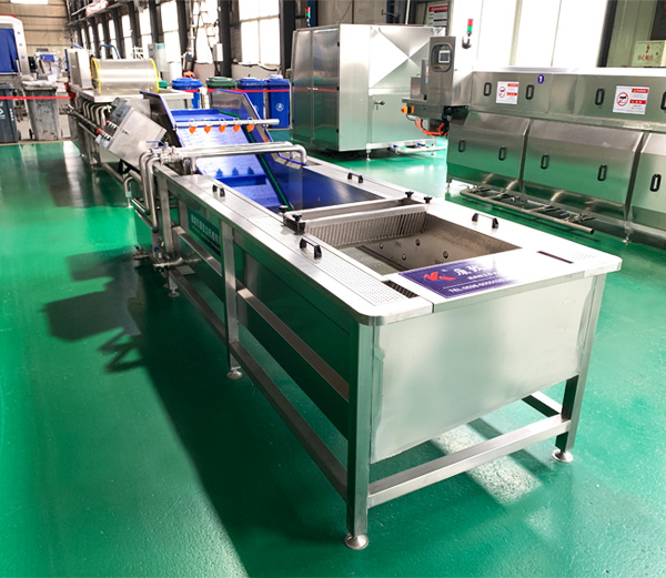 vegetable-washer