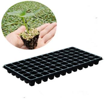 Seedling tray washer (washing machine) Seedling tray washer (washing machine)