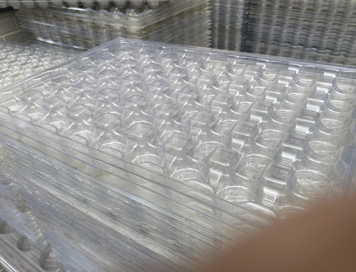 Blister tray washing machine delivered Blister tray washing machine delivered