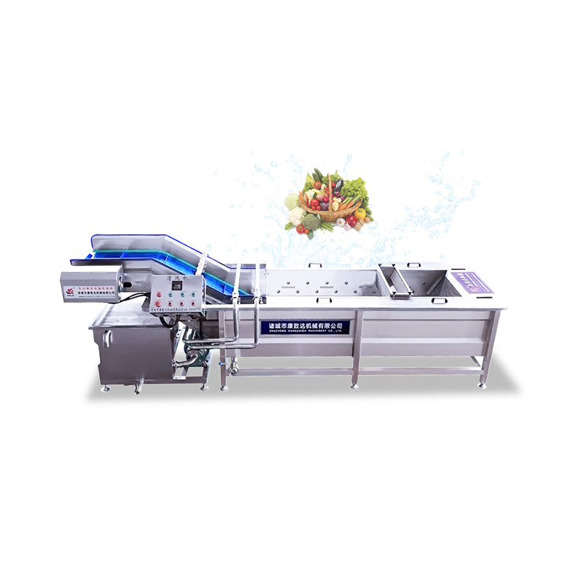 Vegetable Washing Equipment Manufacturer & Suppliers- Bajaj